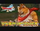 【ドラクエ10】猫島の王子を捨てた真犯人が判明！？VSキャットリベリオpart22