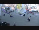 てんしゃばフェスタ踊り子隊　サクラタウンよさこい～師走祭～ 旗の共演part2