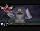 こどもたちに笑顔を【ゼルダの伝説スカイウォードソードHD】#37