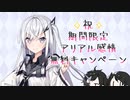 アリアルが自分(達)の宣伝をする話