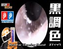 【イヤースコープASMR】ブラック調色スティックでガサガサ外耳道を掻く/本物耳かき音 Real Ear Cleaning Sound /SONY ECM-CS3 /no talking