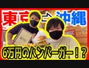 【ステバイ】日帰りで6万円のハンバーガーを食べる！？【PEACE BEAR】
