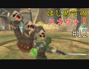 【ゆっくり実況】二度目ゼルダはじめてのスカウォ！！ part12【ゼルダの伝説スカイウォードソード】