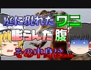 【1990年】「庭に5ｍ以上のワニがいる」通報を受け捕獲されたワニ。しかしそのお腹から...【ゆっくり解説】