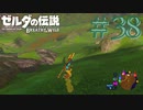 【女性実況】#38　見ての通り迷ってます【ゼルダの伝説 ブレス オブ ザ ワイルド】