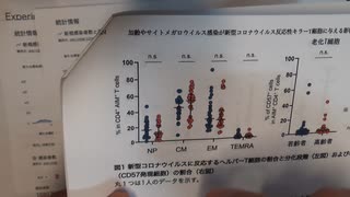 実験的修飾RNA生物製剤