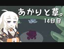 【VIRIDI】あかりと草。14日目【VOICEROID実況】