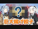 【巨大揚げ餃子を作ろう！】アカリとアオイの好き勝手クッキング！！