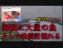 【二つの異変】青森で何が？！海面に埋め尽くした大量のイワシと海底地震計がトラブル【地震の前兆？の声あり】