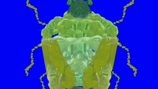 【淫夢BB】カメムシ先輩