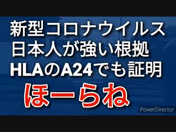 日本人にとって新型コロナはただの風邪、その理由の一つが白血球抗原HLAのA24だと判明
