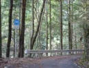 【適当に】静岡県県道296号を走ってみた・その２【走ってきた】