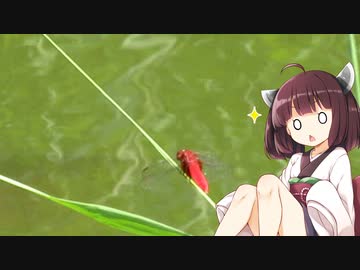東北きりたんの江東区水辺探訪記【VOICEROID車載　四季を巡る　夏】＃６