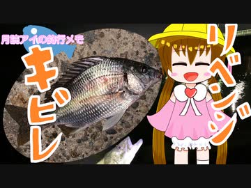 月読アイの釣行メモ part12【VOICEROIDフィッシング】