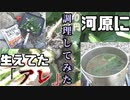【ニートの0円飯】河原に生えてた野生の大根を食べてみたら美味かった