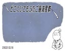 どこにいても孫と見るふたご座流星群