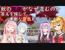 【陸海空旅チャンネル】第三章　秋の近畿旅行　京都嵐山　渡月橋と天龍寺