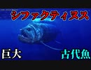 巨大古代魚シファクティヌス【ゆっくり解説】