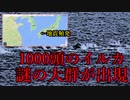 【何これ】北海道でイルカの大群1000頭以上が目撃させる＆●●では珍しい地震と「地震雲」が話題に【地震前兆？】