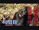 【48日目】お米だけで鶏を育てる