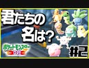 ポケットモンスターLet’s GO D社Part2