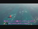 〈Sea of Thieves〉突撃！ゆかり海賊団！〈ゆっくり実況〉13