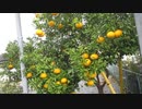 #震災サバイバル　#防災サバイバル　フイールドノートへ記録しておきましょう
