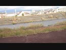 真理は眼前にある　 循環　 タオについて