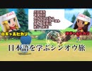 白ギャルヒカリちゃんと黒ギャルヒカリちゃんの日本語を学ぶシンオウ旅【ポケモンBDSP】