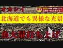 【連鎖する異変】今度は北海道で大量のイワシの打ち上げが発生！＆名古屋港では珍しいクジラの打ち上げ【地震前兆の可能性？】