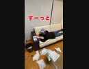 ビットコイン大暴落！その時社長は…？