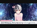 3分で分かるカリザ君のプリンセスフォーム