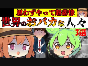 思わずやって超悲惨…世界のおバカな人たち【VOICEROID解説】