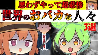 思わずやって超悲惨…世界のおバカな人たち【VOICEROID解説】