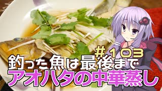 釣った魚は最後まで　＃１０３　アオハタの中華蒸し【VOICEROIDキッチン】