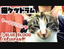 【ネコケツドラム】せがまれたのでBLUE BLOOD叩いてみた - X JAPAN (Spanking the Cat)