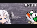 【VOICEROIDフィッシング】あかりちゃんと行くカヤックフィッシング第38話