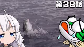 【VOICEROIDフィッシング】あかりちゃんと行くカヤックフィッシング第38話