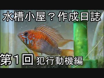 【ゆっくり解説】水槽小屋作成日誌01【アクアリウム】