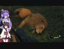 【1時間編集動画投稿祭】きりたんとウナがライオンを狩るだけ