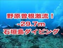 激流の野原曽根！‐29.7m・石垣島ダイビング