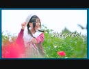 【唏依】Sheepret!踊ってみた【NGあり】