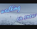 walking on snow / MiddletaM