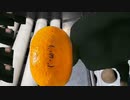 連邦に反省を促すうちのみかん達2