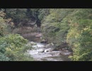 【環境素材】川。渓流。森の中