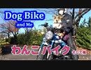 コーギー、バイク、そして俺