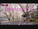 会社やめてバイクで旅に出たPart.2　～岡山県・桜並木と天神峡キャンプ場～