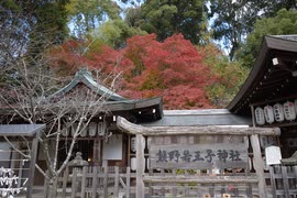 シーイーの古都京都巡り053熊野若王子神社