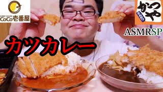 誰かカメラ買ってくれ～　【ASMRSP】　【咀嚼音】　【飯テロ】【しゃべり無し】