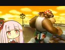 【マリオカートWii】夕陽に照らされて